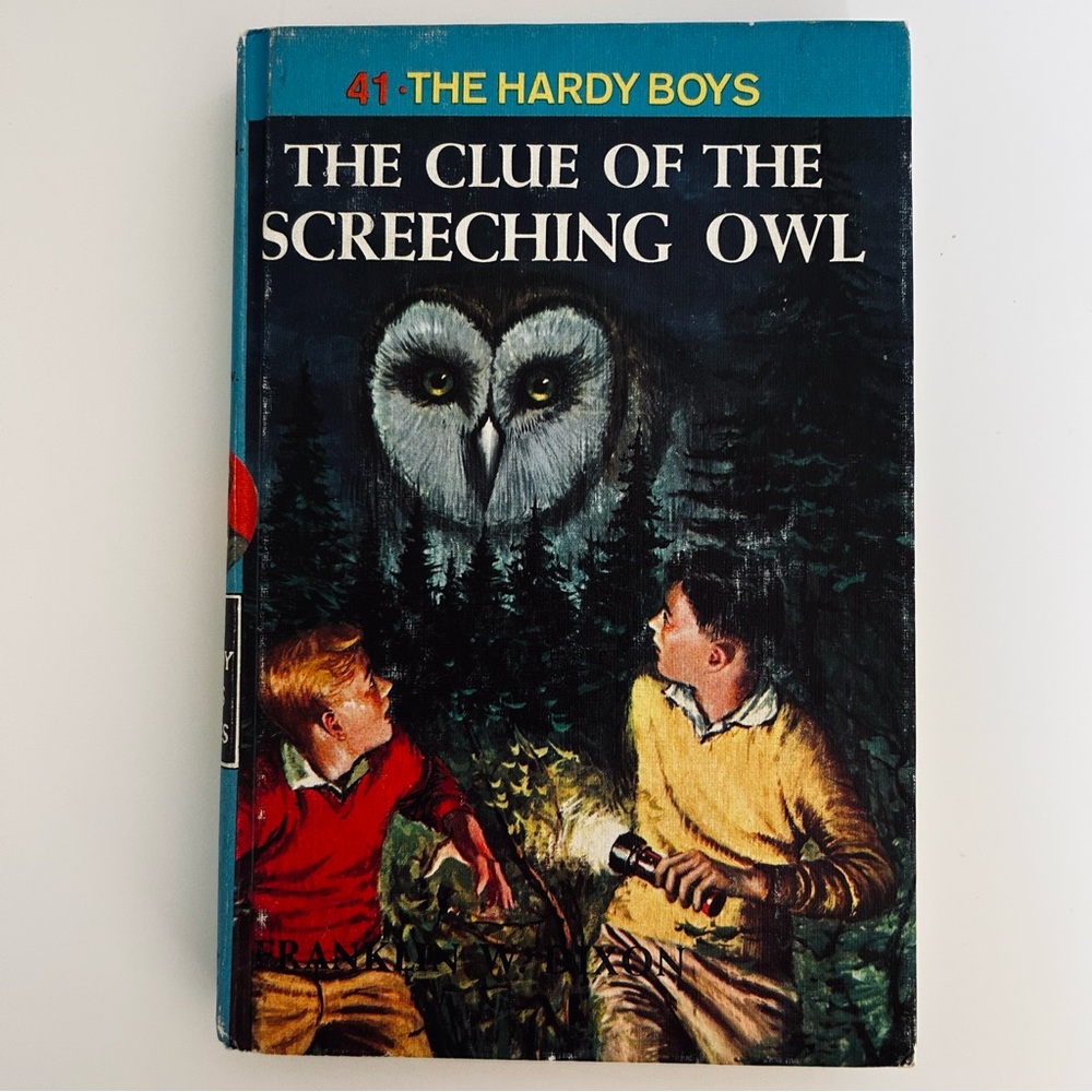 Vintage Hardy Boys #41 The Clue Of The Screeching Owl 1962 Edition